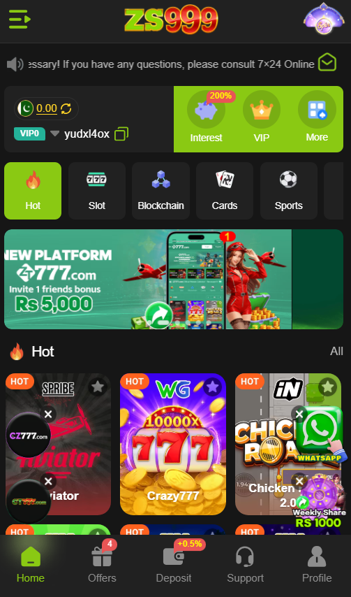 ZS999 game interface