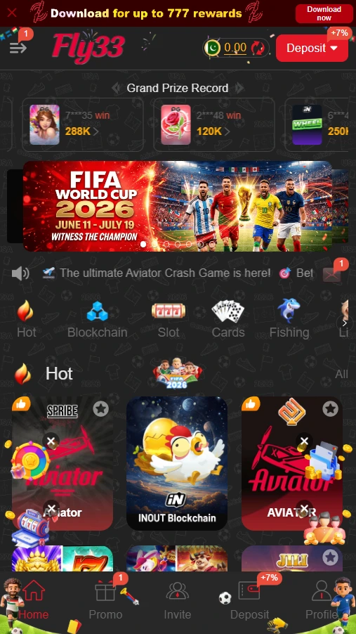 Fly33 game interface