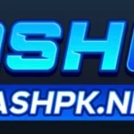 cashpk game icon